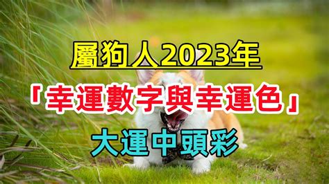 2023屬狗幸運物